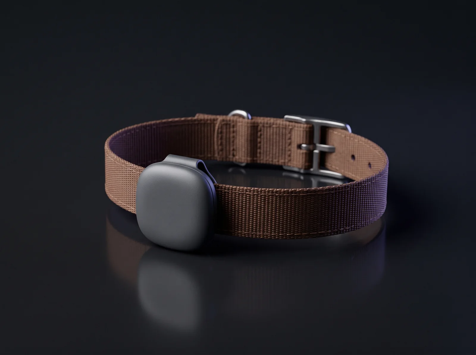 Concept render of a small rounded pet tracker clipped to a nylon dog collar